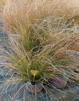 bfbdbc8a-c2e6-40da-b954-d8844afb61ec