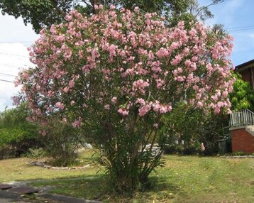 a1512879-0d4b-468c-9e16-522897094434 a1512879-0d4b-468c-9e16-522897094434