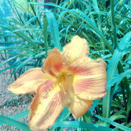 2f66e669-e71f-4dce-9ee7-b561fefa0830