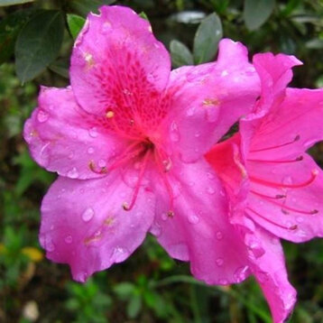 196f9fe4-a458-4153-86da-4275cb18a3bf