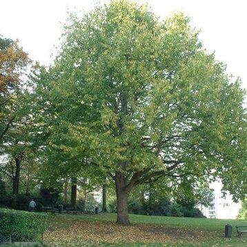 3897c97a-cf6a-4360-8c9d-1cf7a7d6db8c