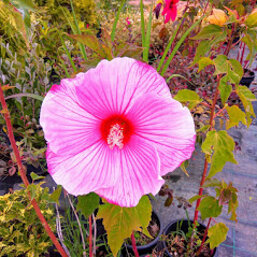 526b00ba-2c3d-42ea-81f5-d58cec2a09e0