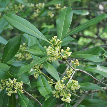 3ed4a34e-ac7f-4ca8-9f13-3626cdd3c1d9