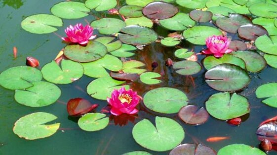 d8fe644f-bc8a-42e4-b979-79e0da004aad d8fe644f-bc8a-42e4-b979-79e0da004aad