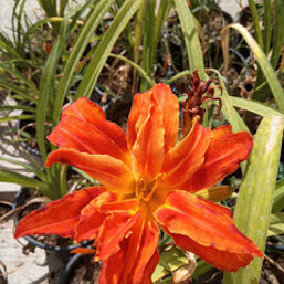 f0ac0662-d62f-498c-a581-be5a799db3fd