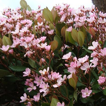 1ad92211-eb55-4c4a-a69d-4671e1dc62a4