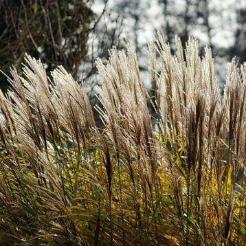 9f3dcb24-f6fb-41d2-96ae-72a284b9d24d