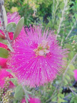 0cb8f1ed-23be-4e2d-9267-1737ab967ef0