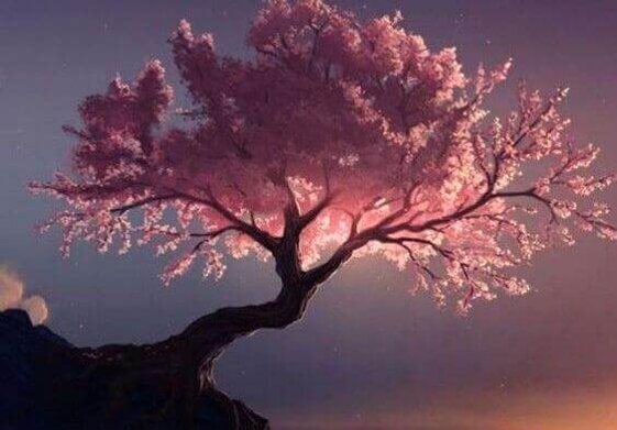 4d626772-20b2-4da7-b959-678ecf11c0ee.jpeg 4d626772-20b2-4da7-b959-678ecf11c0ee.jpeg