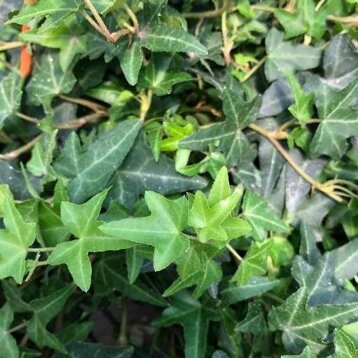 de9416bc-0608-49a8-8c33-91c1ec8f44ac de9416bc-0608-49a8-8c33-91c1ec8f44ac