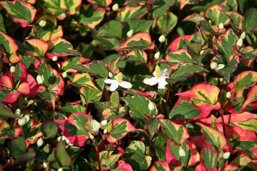 857d47d5-c715-46e2-b001-b893f874ded3