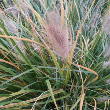 46d38168-d308-482a-8a29-515f75784655