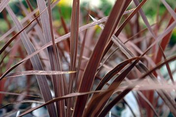 a28e5cc3-fb4c-4e19-93da-f8dee0d67a1e