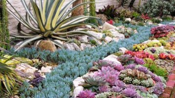 5dcc9bfd-39e7-4be5-805a-cb14c168c989