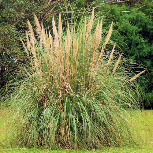 91e2c567-c3d7-4a42-8211-fb597dce1edd