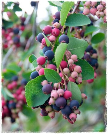 7011a35d-e912-4510-a9a1-61d6ecb1ecfd 7011a35d-e912-4510-a9a1-61d6ecb1ecfd