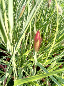 6fab4095-c5c2-47d9-9443-eebb2d6ec657