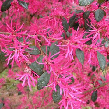 0f0fd404-1cc3-44bf-9aac-f6ee14b9016d