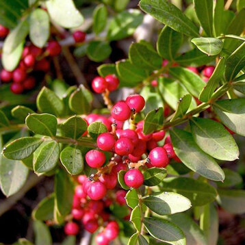 87680b49-3582-4efb-84fb-d95fd8d211e4