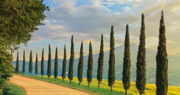 0dcd3822-17c3-49a6-8def-d32a65a189c4