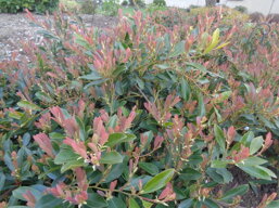 69475cbb-a1ca-4cdb-8d58-37d7eb1cfa44