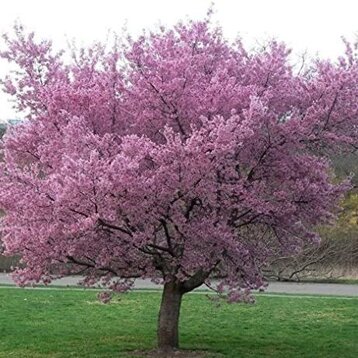 fb282171-3cdf-45d1-9fd9-9f00546aef01