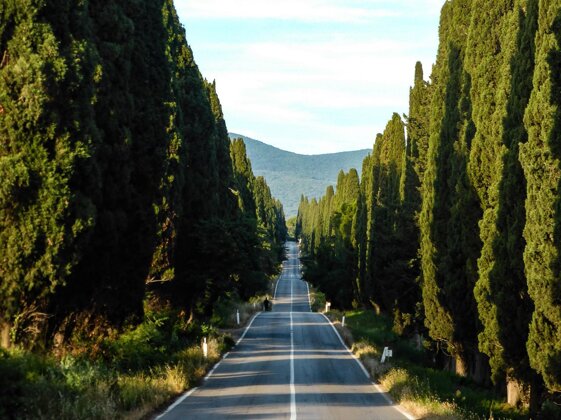 bee4dcd9-1b8d-4852-be58-823ea9b9b297 bee4dcd9-1b8d-4852-be58-823ea9b9b297