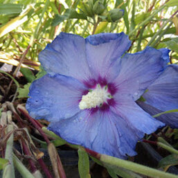 92f0d9c7-4855-4117-9728-42aca90d8f49