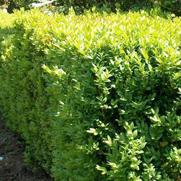 f8cf4de9-e439-4af2-b20a-0d8579d520ea