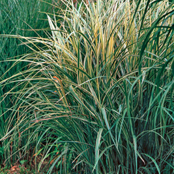 e8d34176-3334-4573-a9a4-13dc5de2308c