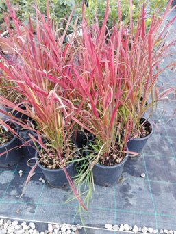 539eb499-a2ba-47cb-9df2-cd099a59dc50