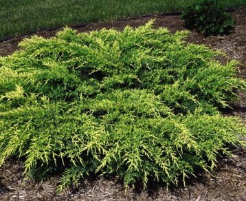 7989ea5f-a6fe-4892-a354-6dfa84d1e791 7989ea5f-a6fe-4892-a354-6dfa84d1e791