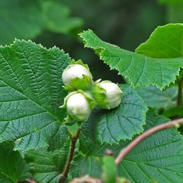 7a5f4714-6df7-465b-a848-e09e4444d297 7a5f4714-6df7-465b-a848-e09e4444d297