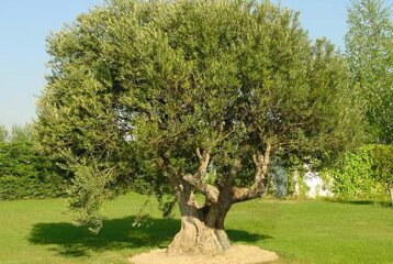 d6e83ed5-e8c2-491e-b99f-88df8744e85b d6e83ed5-e8c2-491e-b99f-88df8744e85b