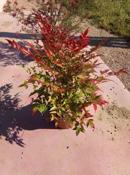 3e990d10-539e-482c-b461-103ddd9b3237