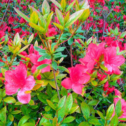 e5f215b9-eb3c-4fac-a08a-089657e6cb75