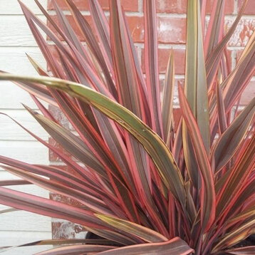 2e75f2e4-bc79-4c6e-9398-e8b6913a3cd6