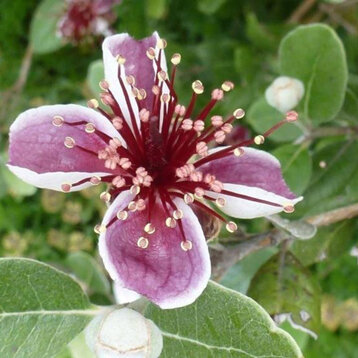 e1d8ba11-c4e3-45fe-b5f8-043e43061b1b