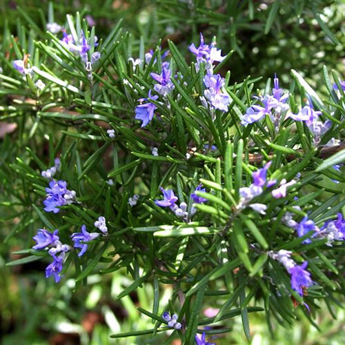 1ed0bebd-f306-4458-9d37-5af82ac56680