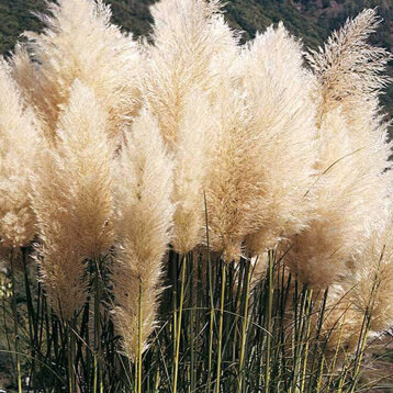 8ca20632-be1d-43b0-a776-39bd39c4a9ae