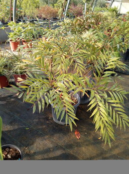 b91d51c7-9ca2-4905-bcaf-77108de145d9