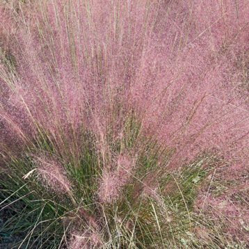 c55933f7-4b57-4615-a0a5-6dc64e578f73