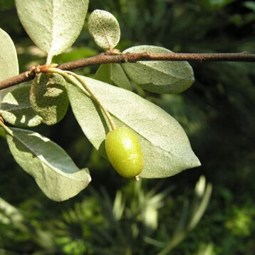 8f5f1889-086a-4350-b72f-1ca82ddd7f0a