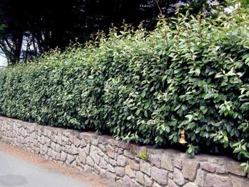 894e2d3d-5aa4-4be2-a373-168b10dbc371 894e2d3d-5aa4-4be2-a373-168b10dbc371