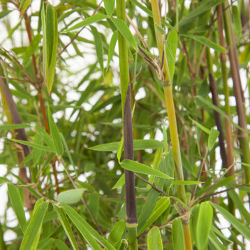 17da8566-eb20-483b-924f-1224d6d5dd86