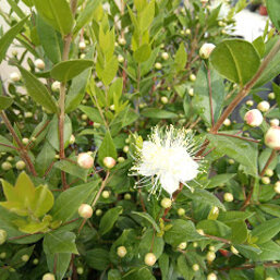 4ac81846-60c9-4206-aff8-d4c5907dbffa