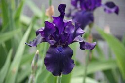 f0b29d2e-8329-43ad-a712-36e133f7d203