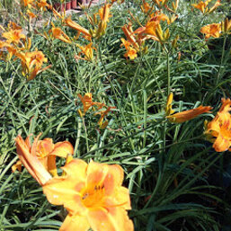 b103fe09-9e84-4583-8719-d6e68804ef1d