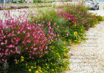 7e27b188-a4e3-422e-bd36-38719d658126