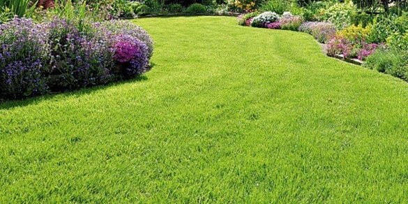 2571b56f-21b4-47b2-9d44-25e1816b9eed